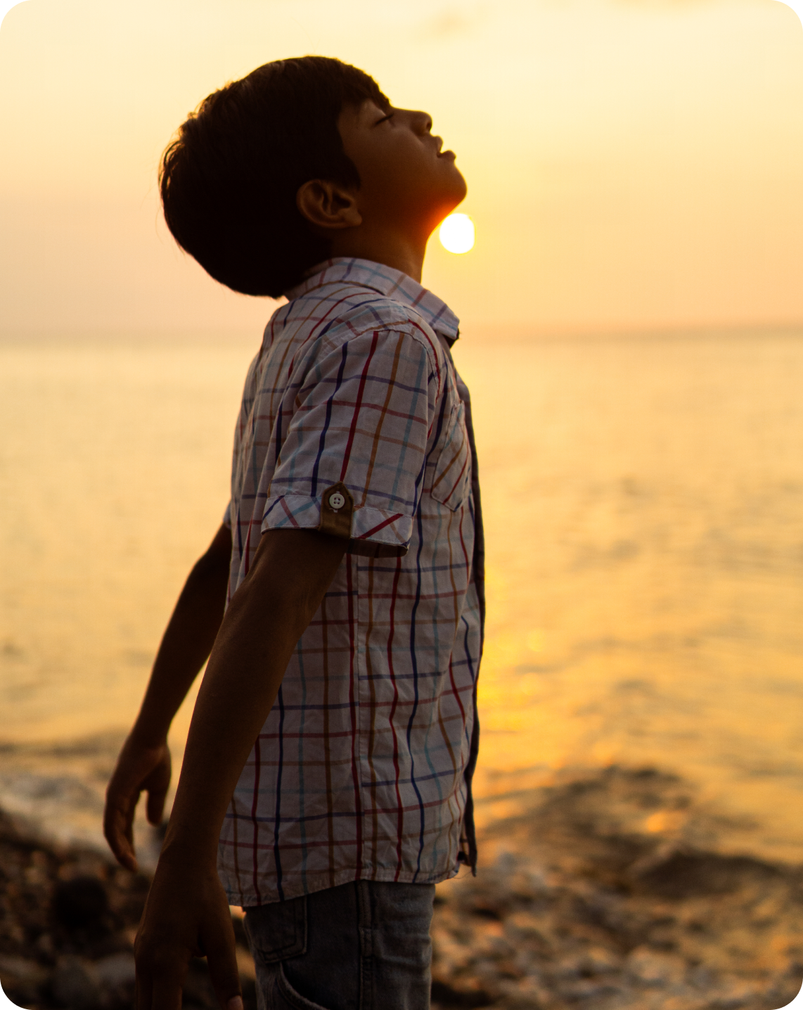 Light Reaches the Body